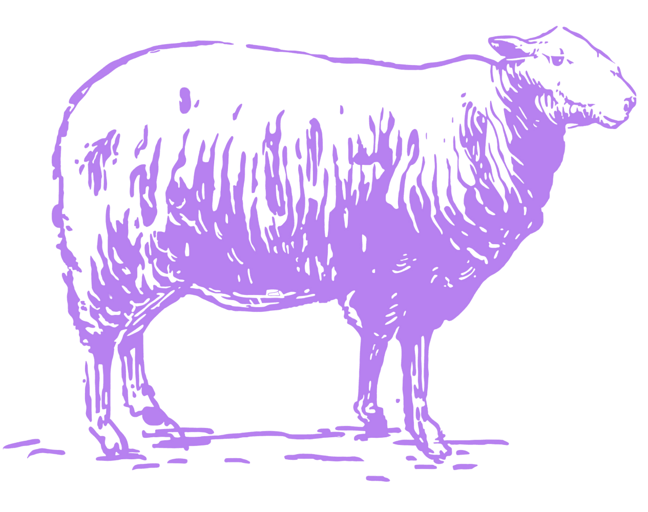 Purple Sheep Logo